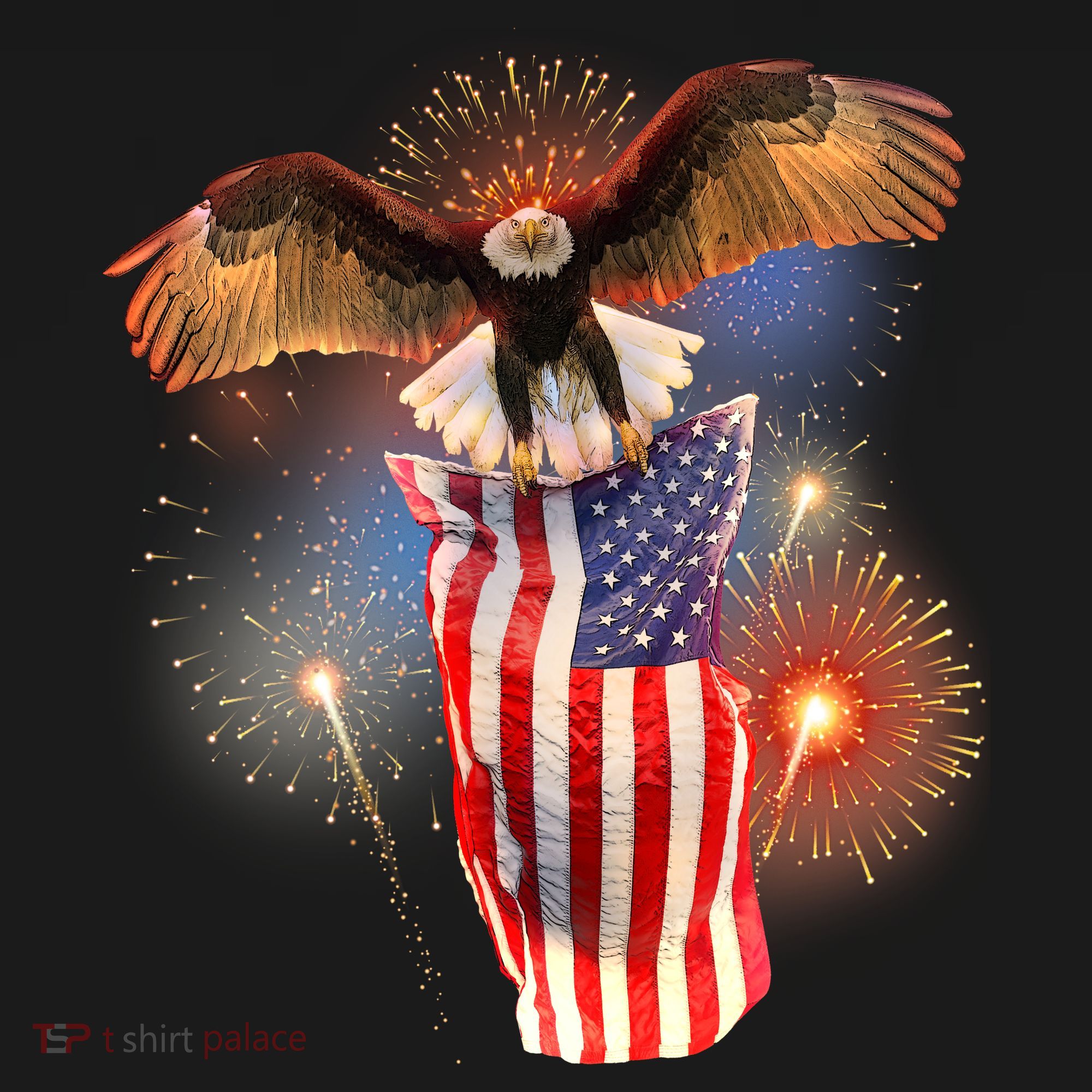 America USA Flag Eagle Fireworks Kids Long Sleeve Shirt
