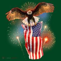 America USA Flag Eagle Fireworks Hoodie thumb 7