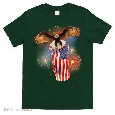 America USA Flag Eagle Fireworks T-Shirt