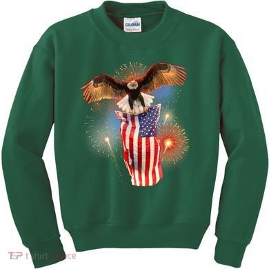 America USA Flag Eagle Fireworks Kids Sweatshirt