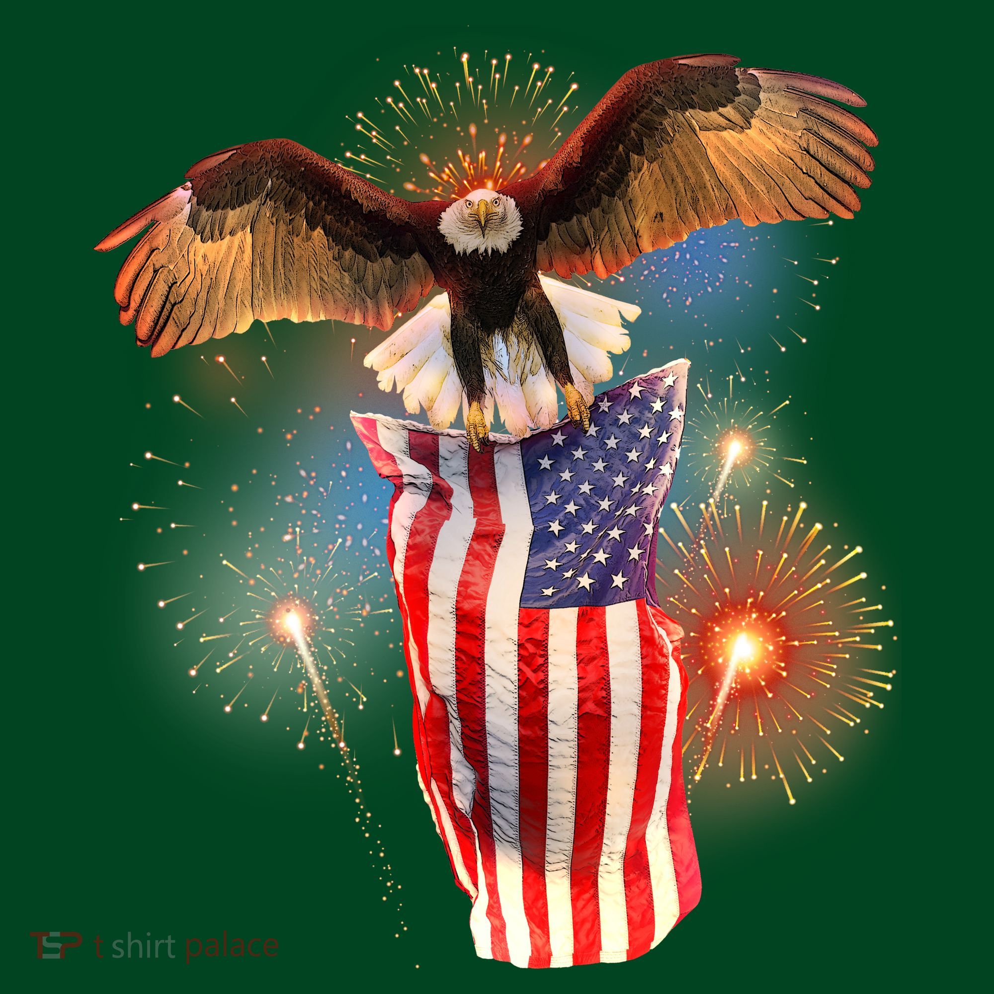 America USA Flag Eagle Fireworks Kids Sweatshirt