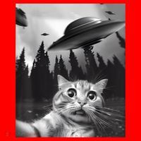 Alien UFO Funny Cat Selfie Santa Hat thumb 1