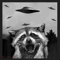 Alien Ufo Raccoon Women's Sweatshirt thumb 2