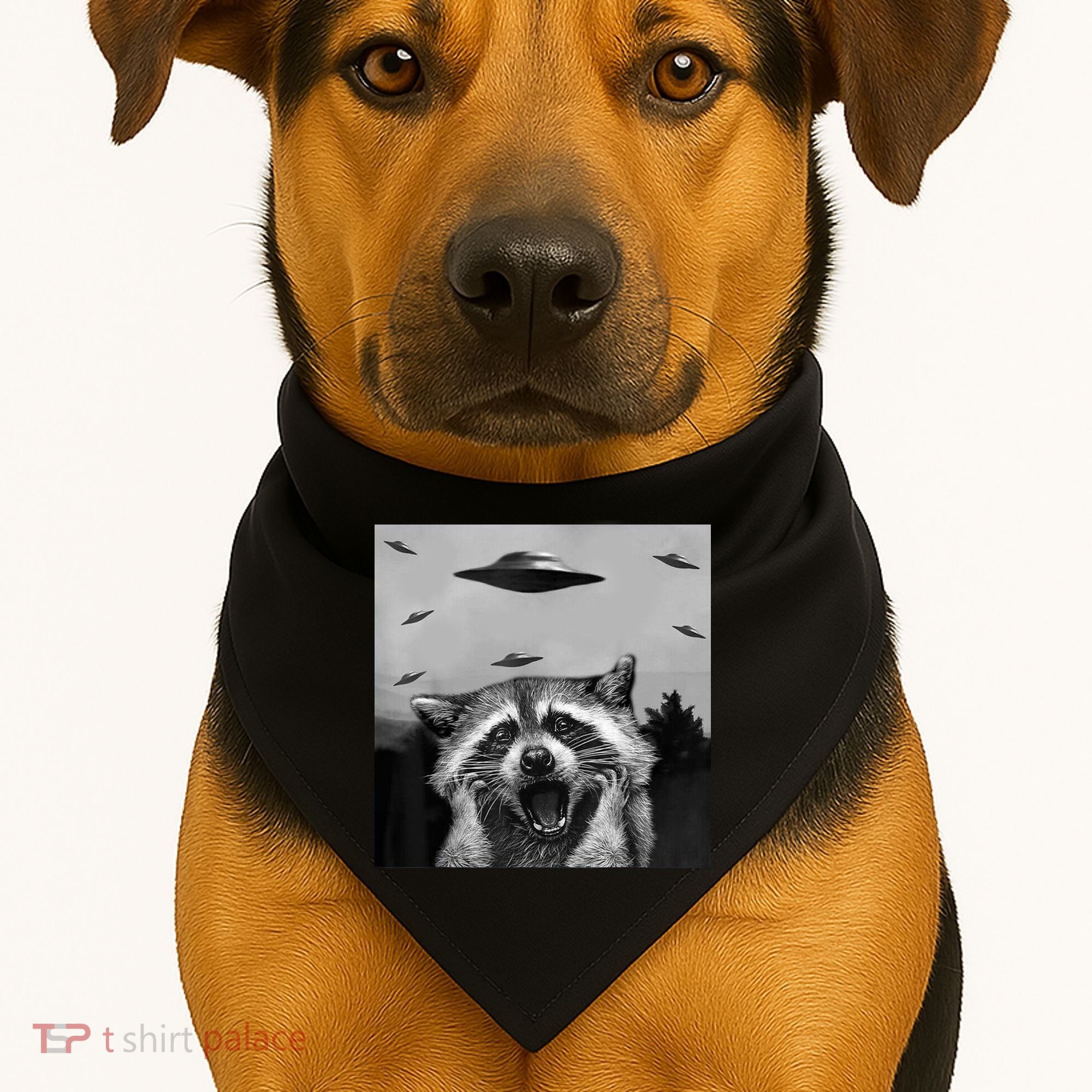 Alien Ufo Raccoon USA-Made Doggie Bandana