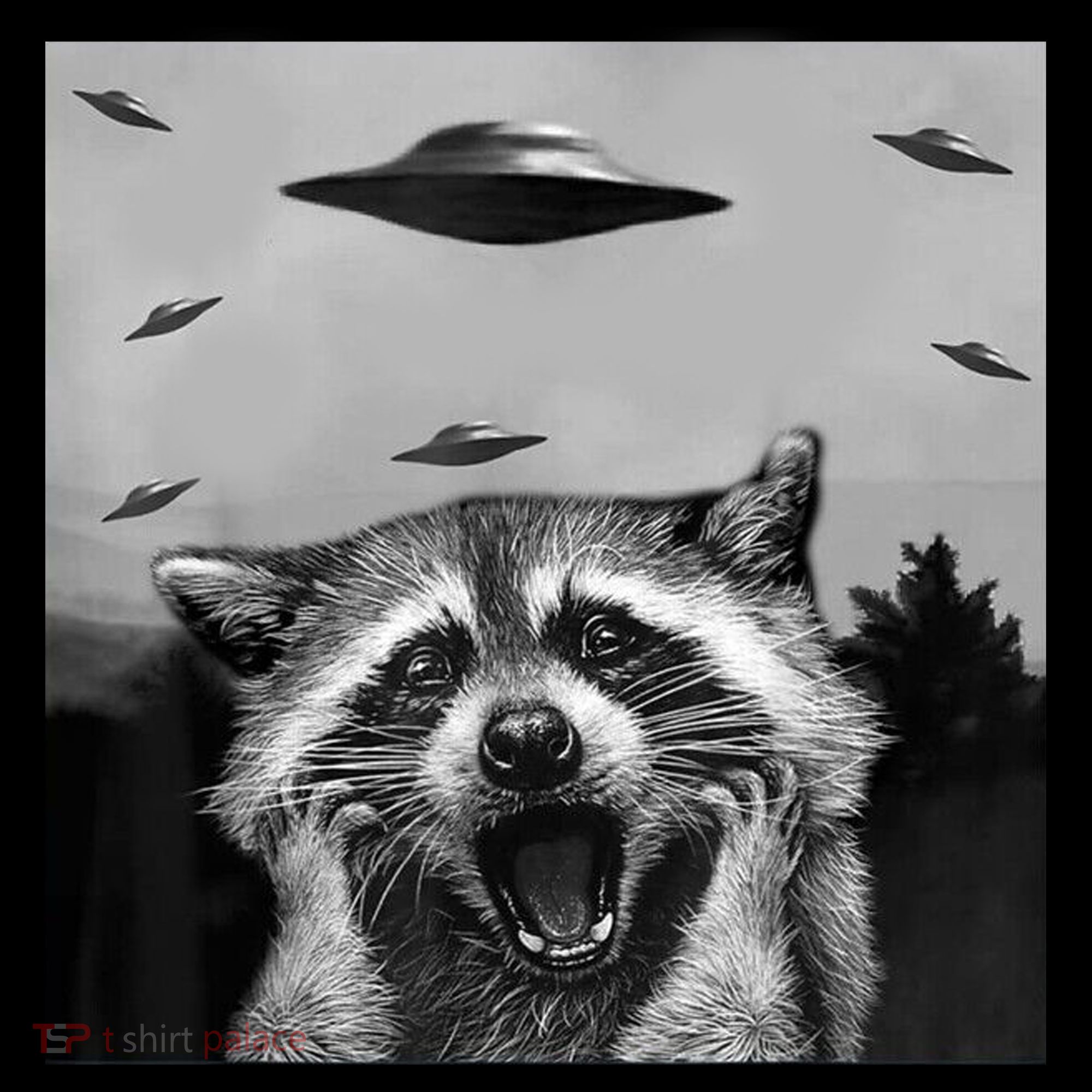 Alien Ufo Raccoon Coffee Mug
