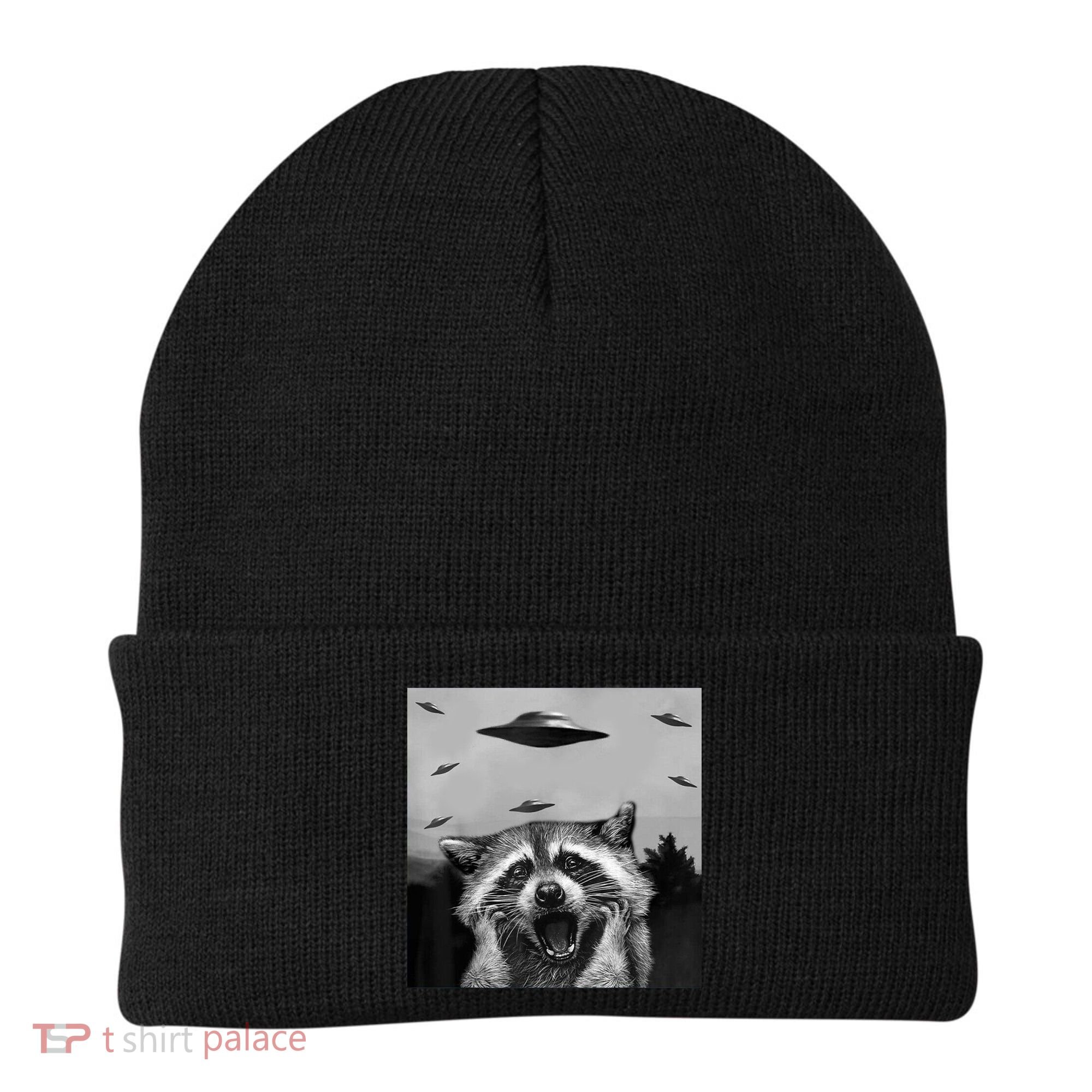 Alien Ufo Raccoon Beanie