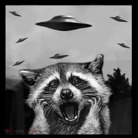 Alien Ufo Raccoon Ornament thumb 1
