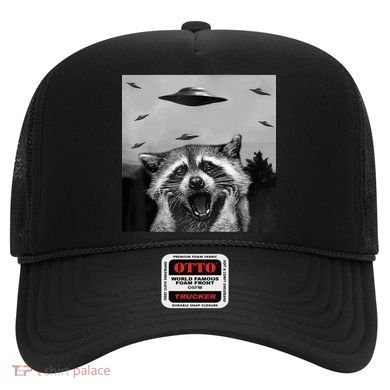 Alien Ufo Raccoon Hat