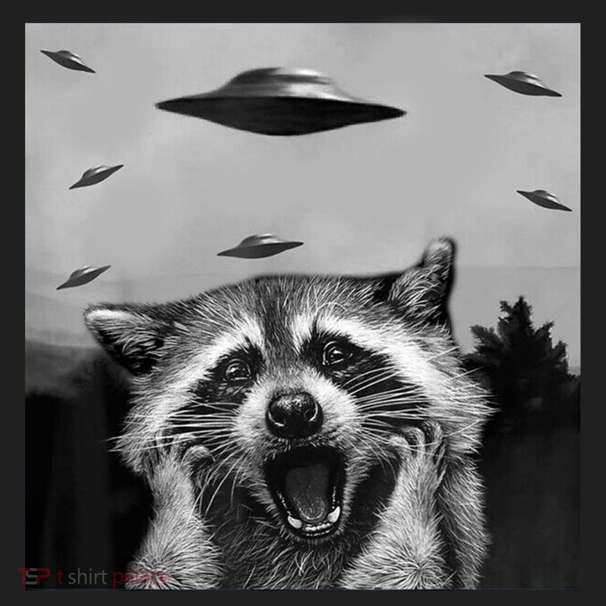 Alien Ufo Raccoon Hat