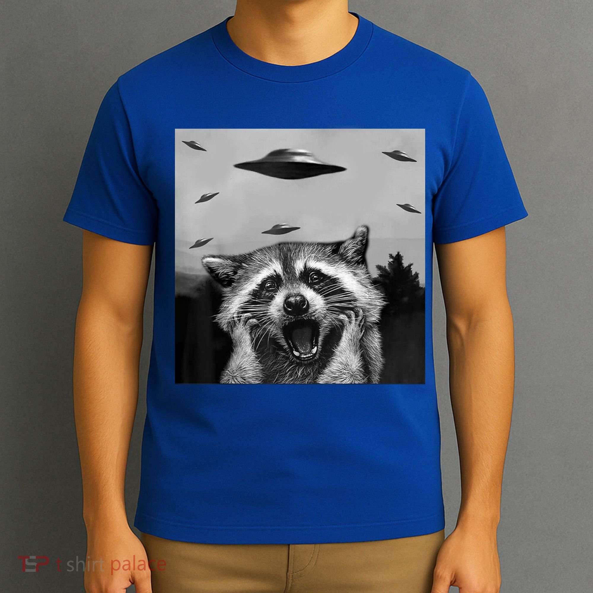Alien Ufo Raccoon T-Shirt