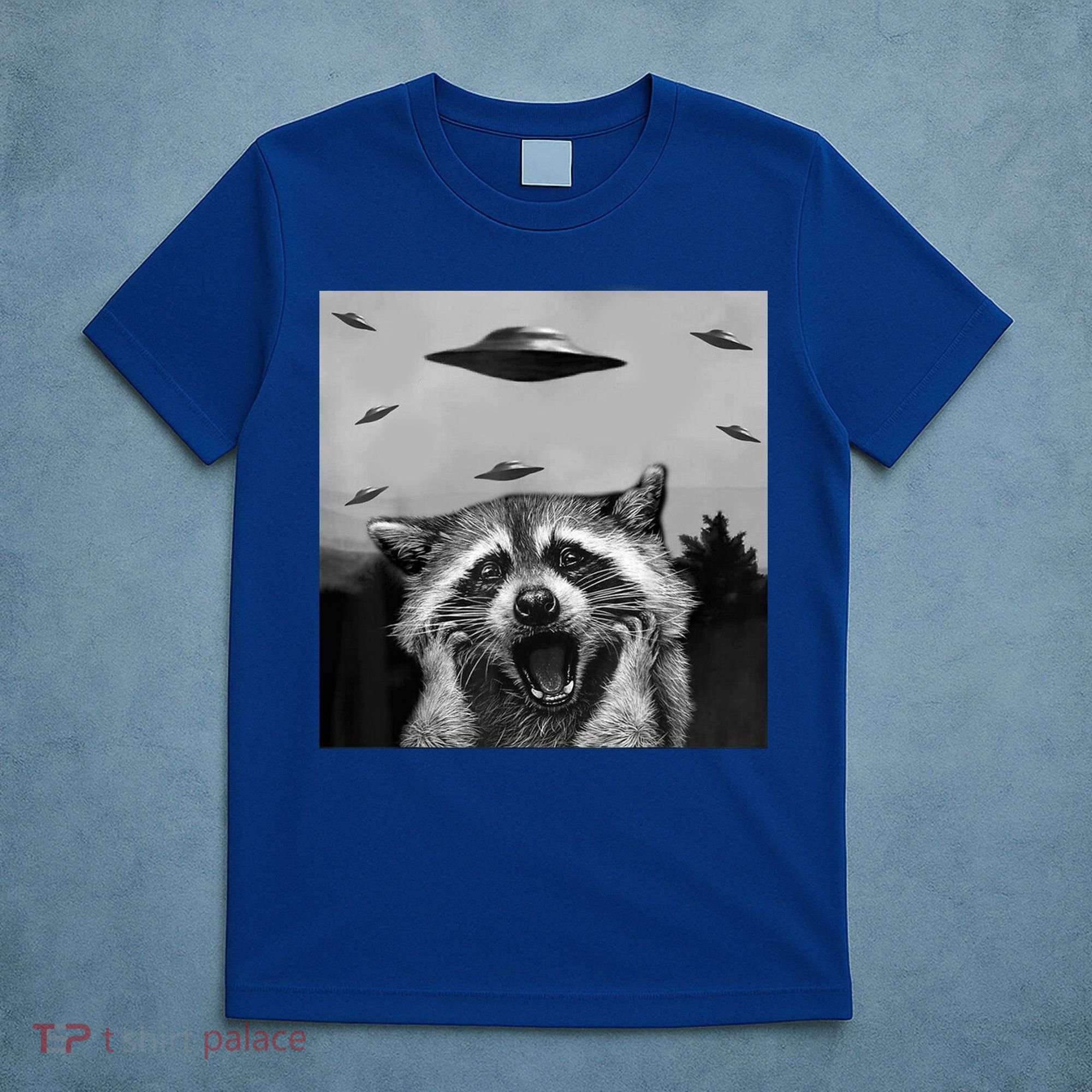 Alien Ufo Raccoon T-Shirt