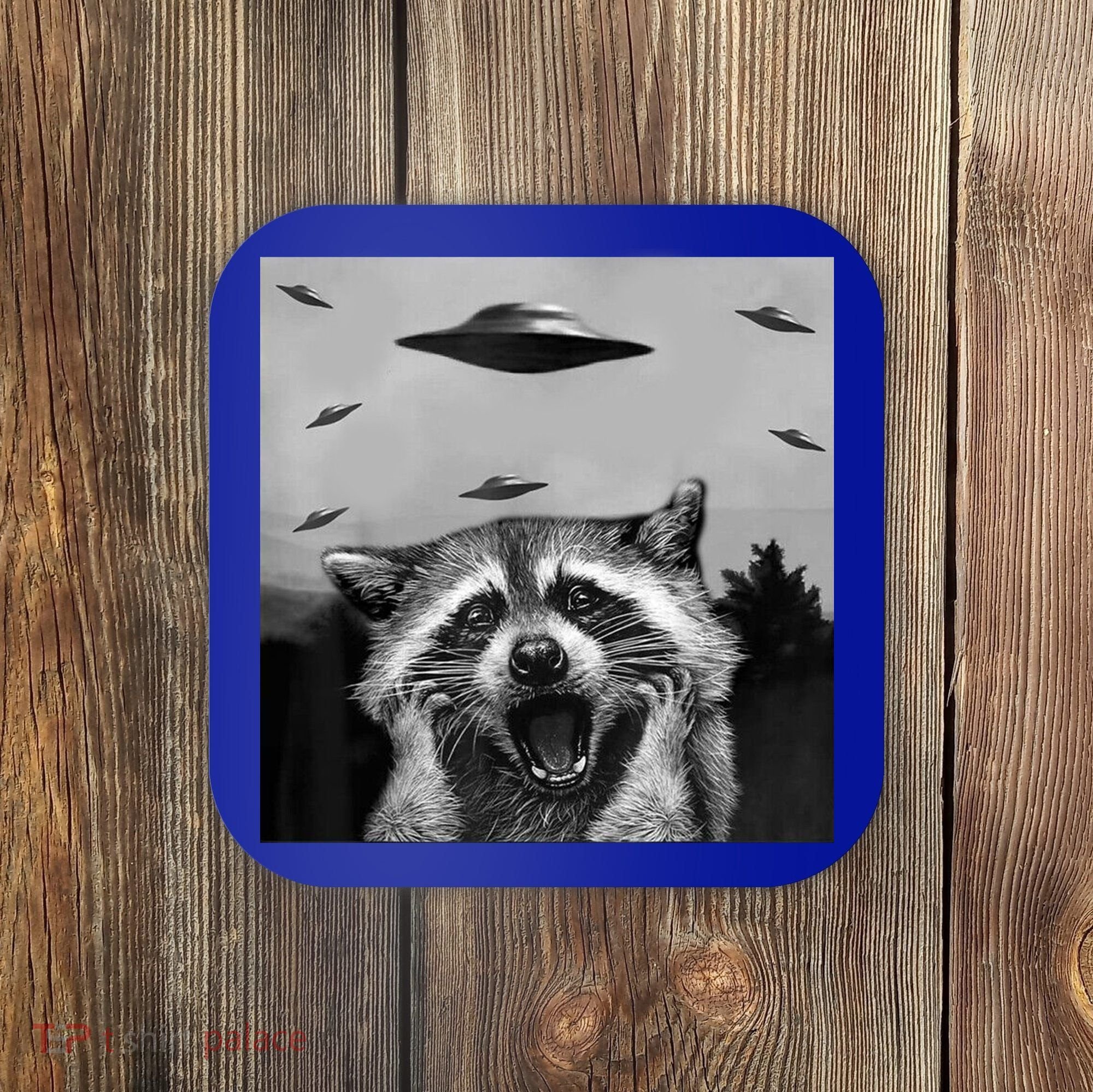 Alien Ufo Raccoon Coaster