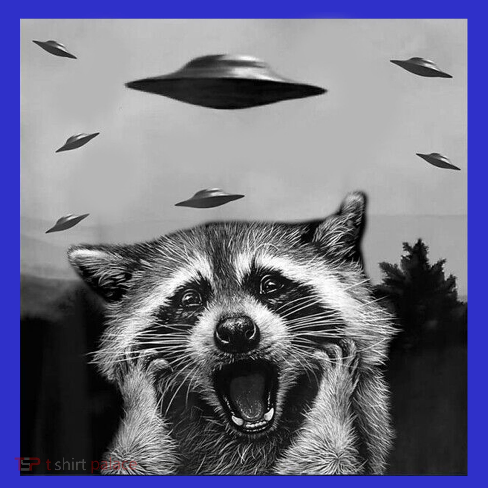 Alien Ufo Raccoon Women's Tank Top