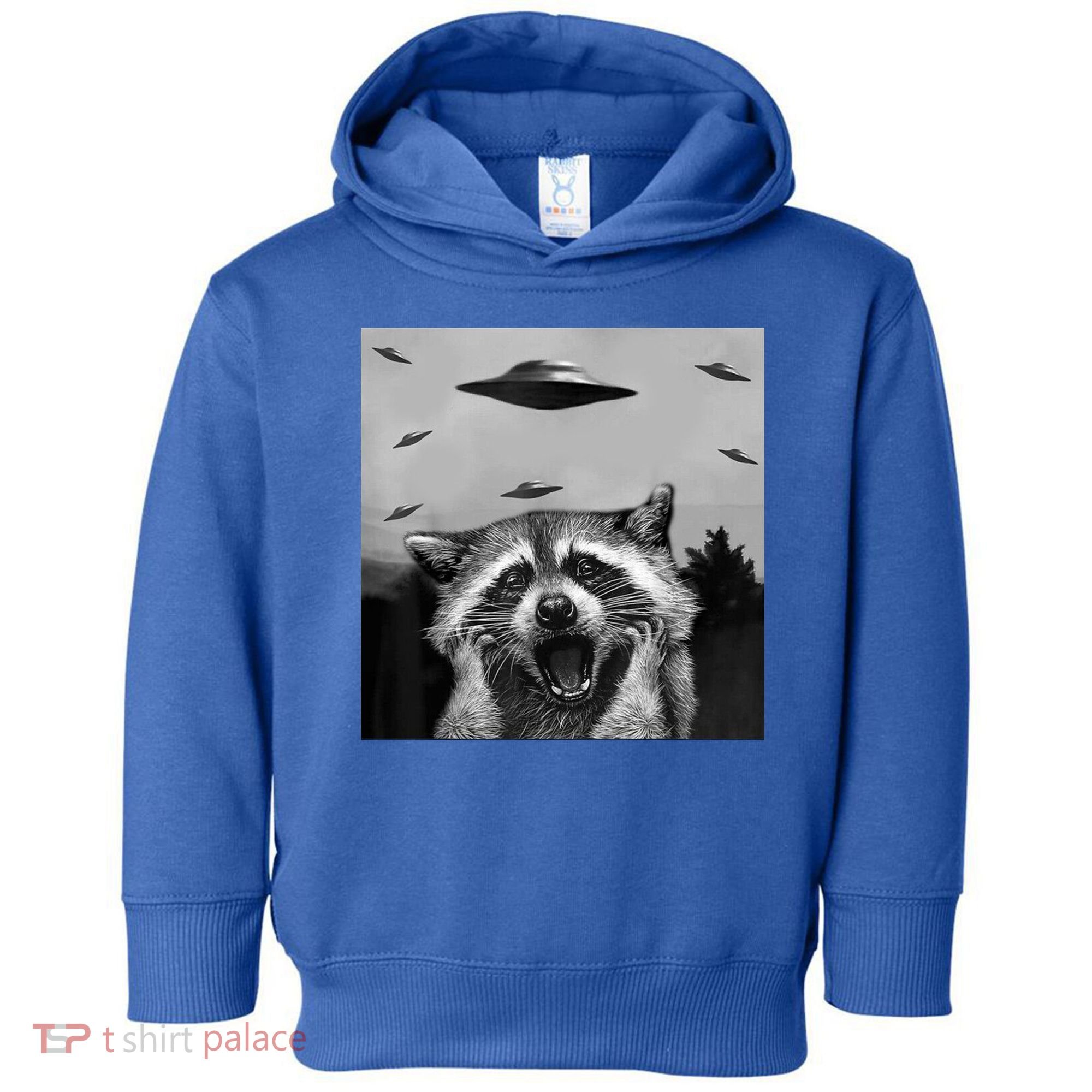 Alien Ufo Raccoon Toddler Hoodie