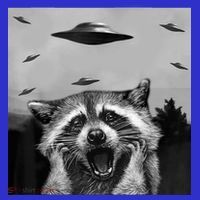 Alien Ufo Raccoon Women's T-Shirt thumb 6