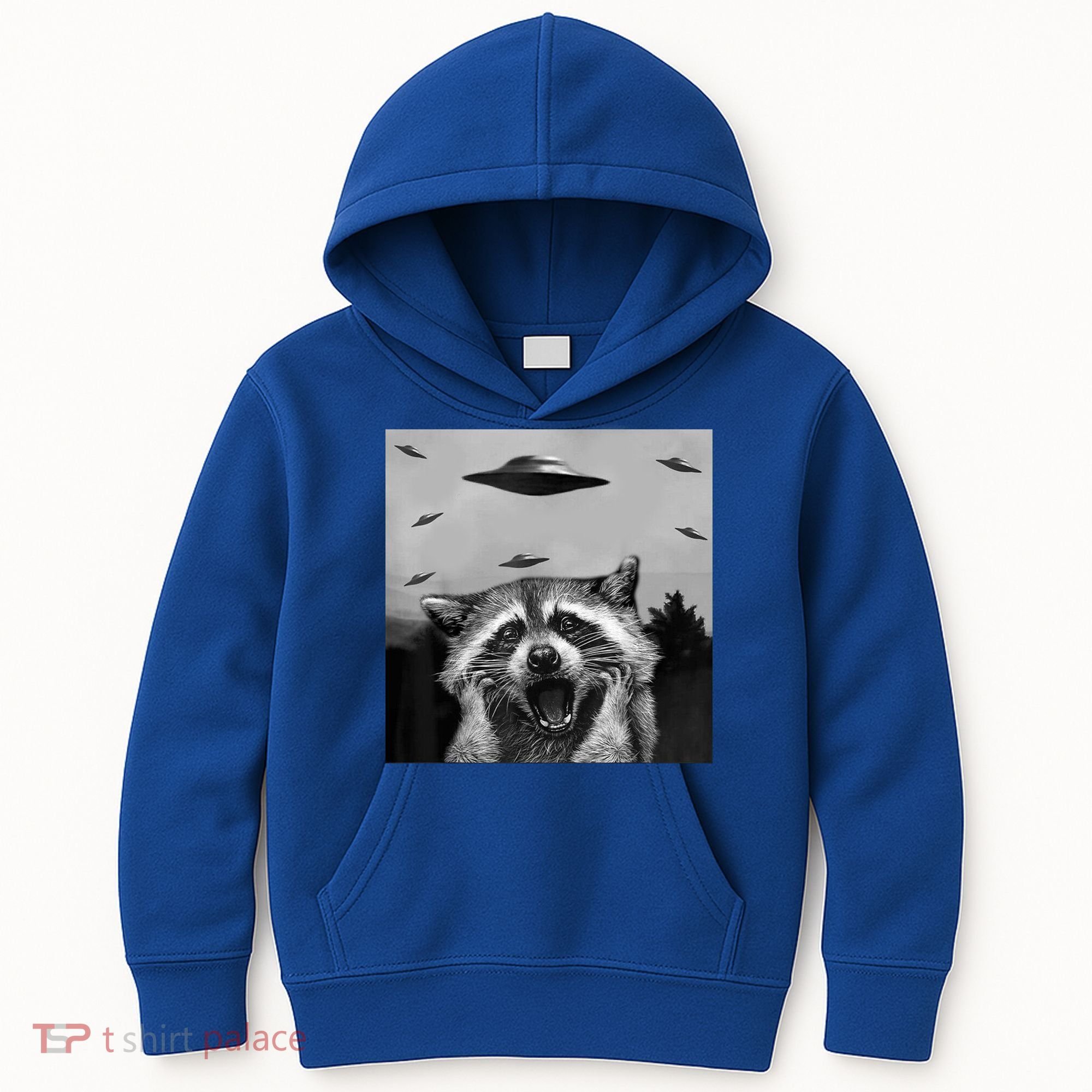 Alien Ufo Raccoon Kids Hoodie