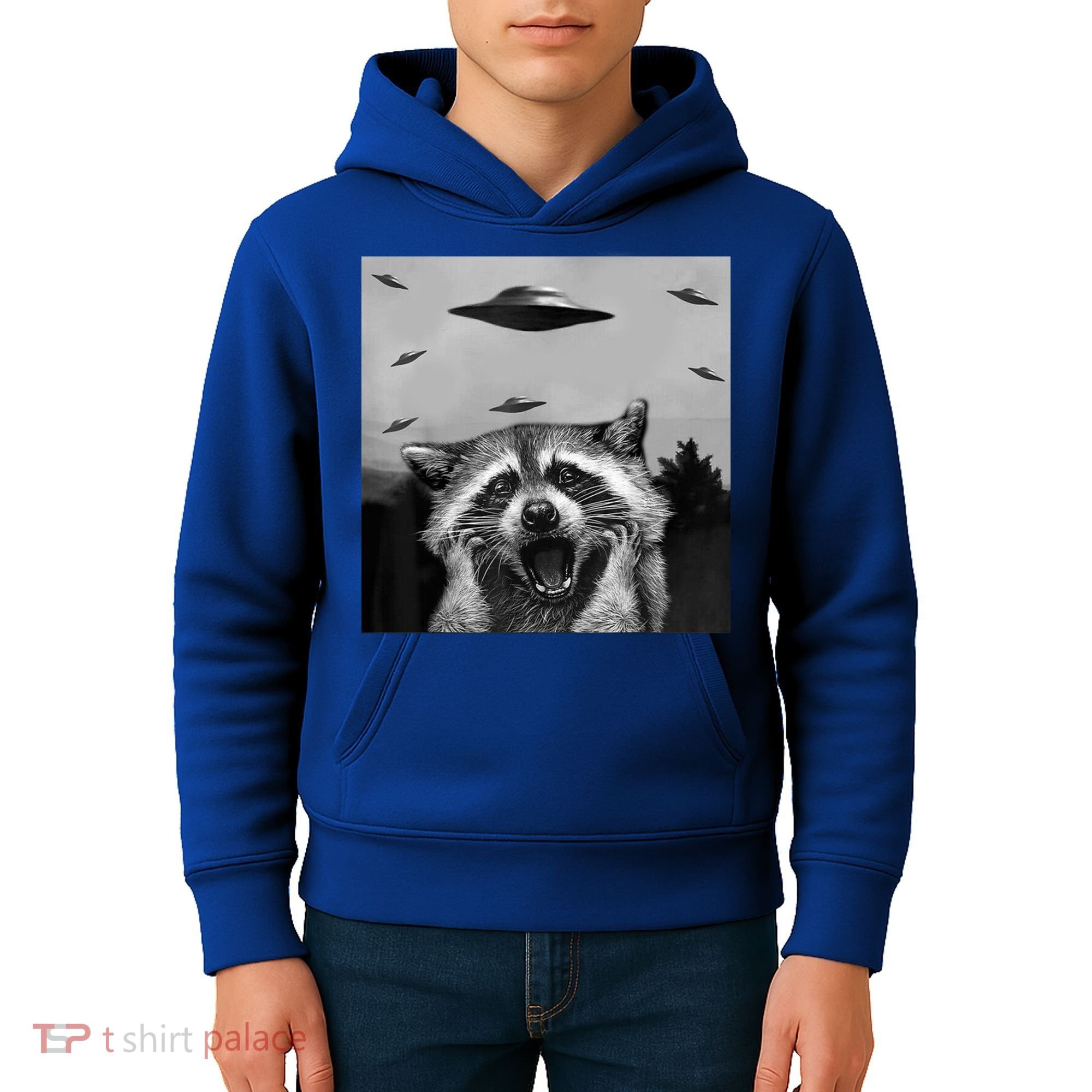 Alien Ufo Raccoon Kids Hoodie