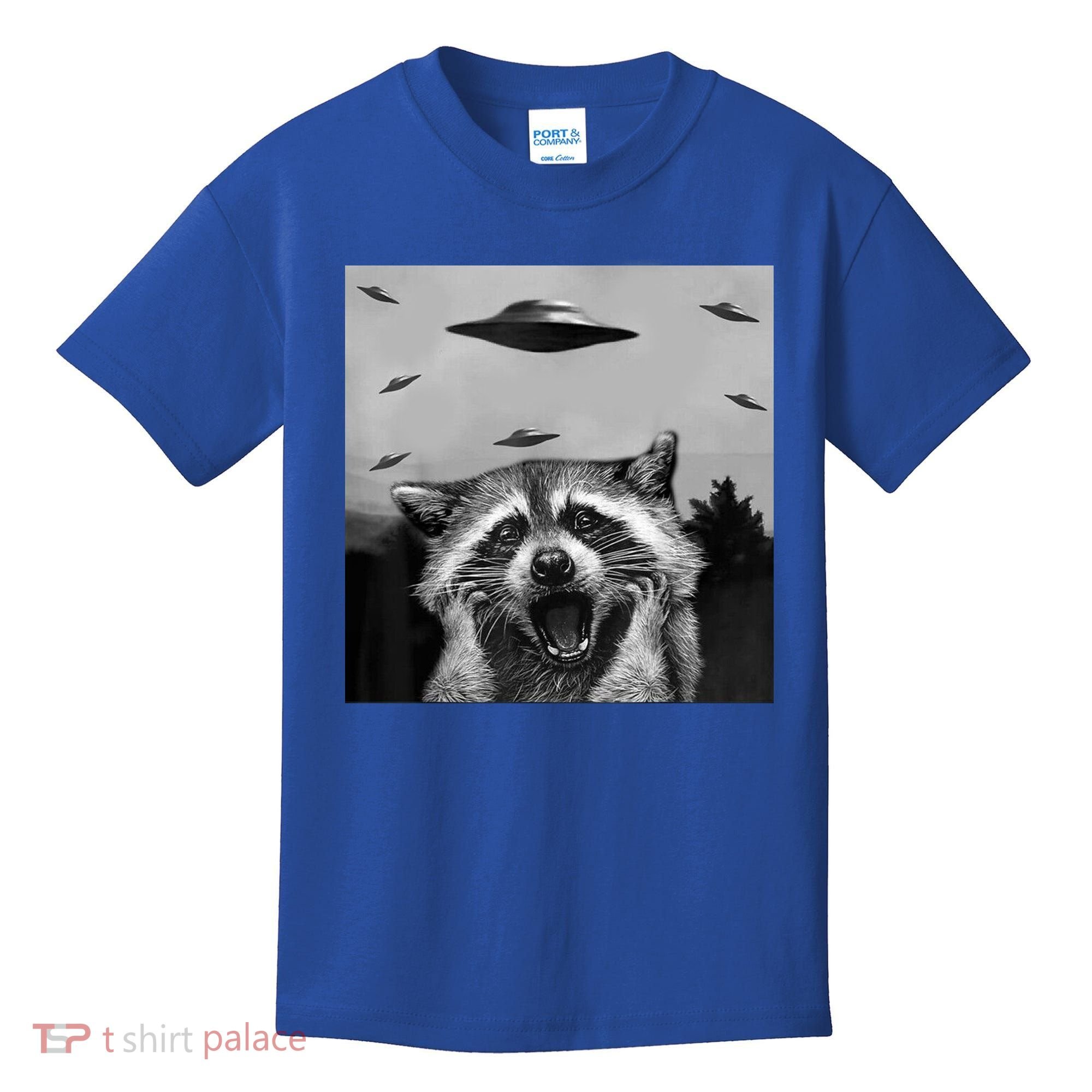 Alien Ufo Raccoon Kids T-Shirt