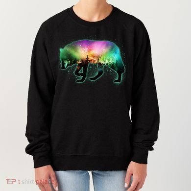 Aurora Borealis Wolf Wilderness Women's Sweatshirt