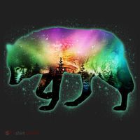 Aurora Borealis Wolf Wilderness Women's Sweatshirt thumb 2