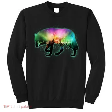 Aurora Borealis Wolf Wilderness Sweatshirt