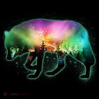 Aurora Borealis Wolf Wilderness Sweatshirt thumb 3