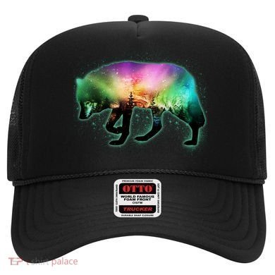 Aurora Borealis Wolf Wilderness Hat