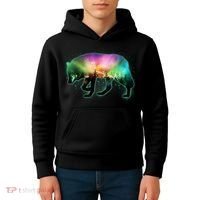 Aurora Borealis Wolf Wilderness Kids Hoodie thumb 4