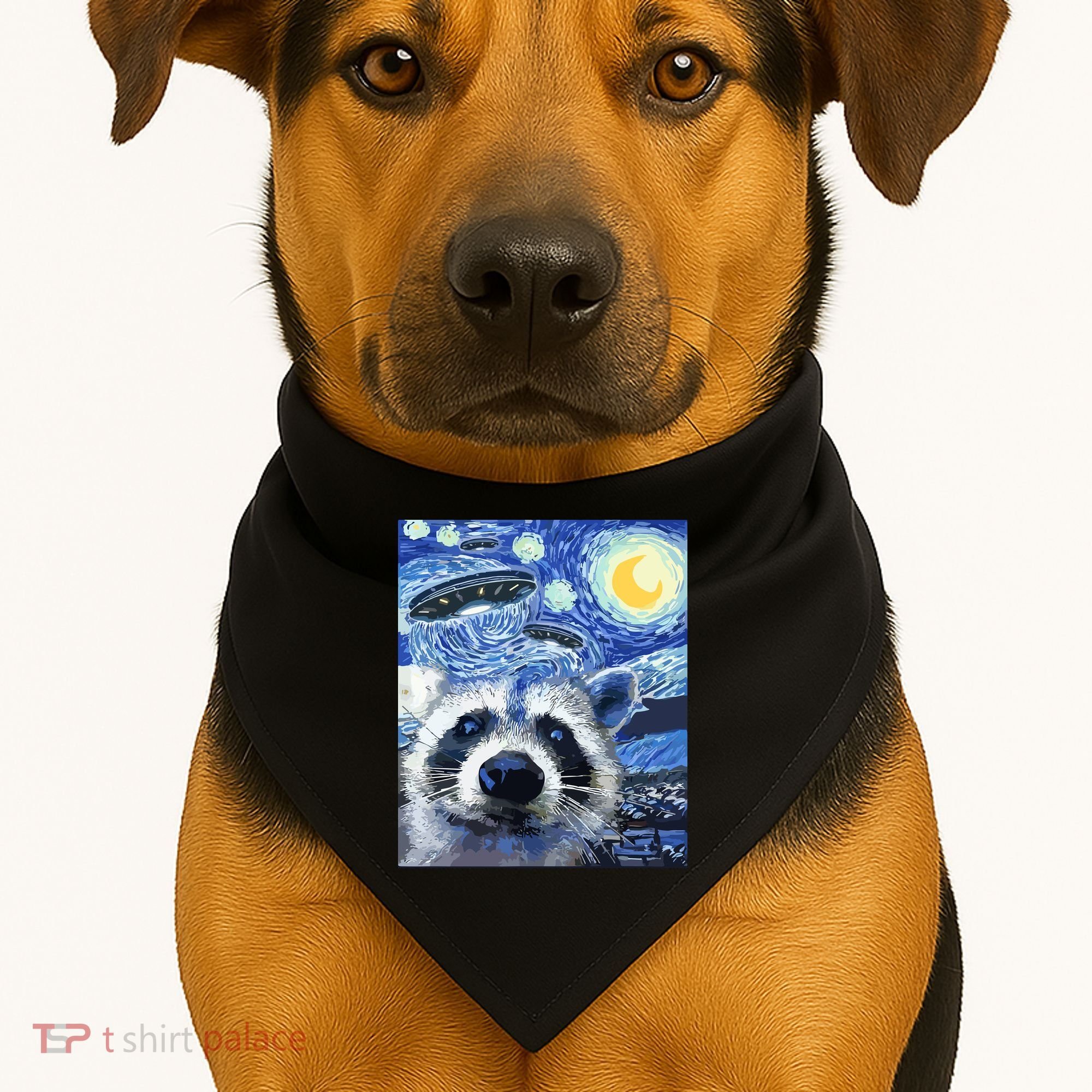 Alien Ufo Starry Night Racoon USA-Made Doggie Bandana