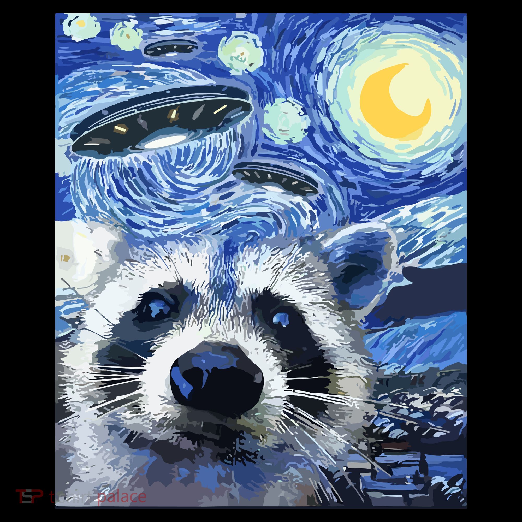Alien Ufo Starry Night Racoon Women's T-Shirt