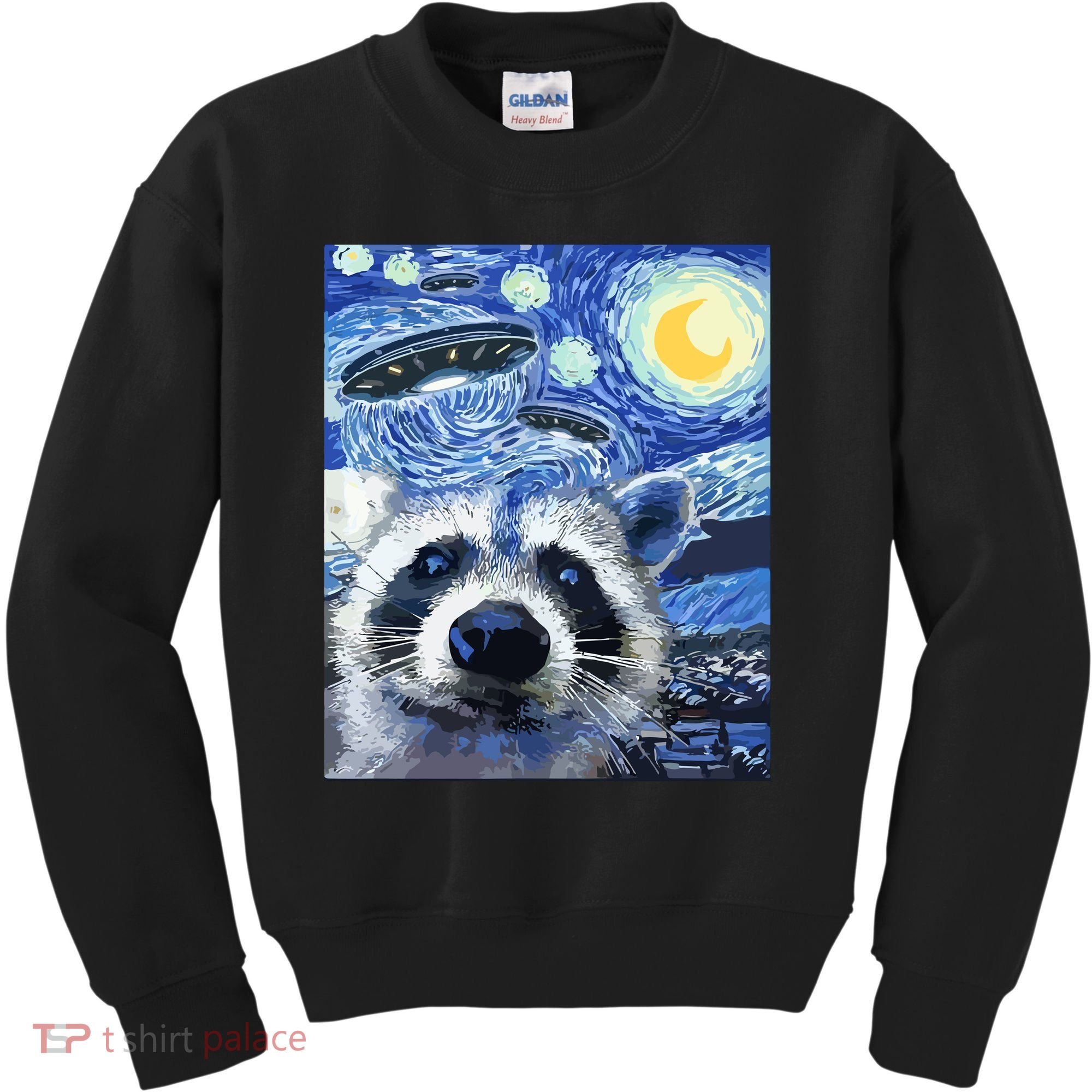 Alien Ufo Starry Night Racoon Kids Sweatshirt