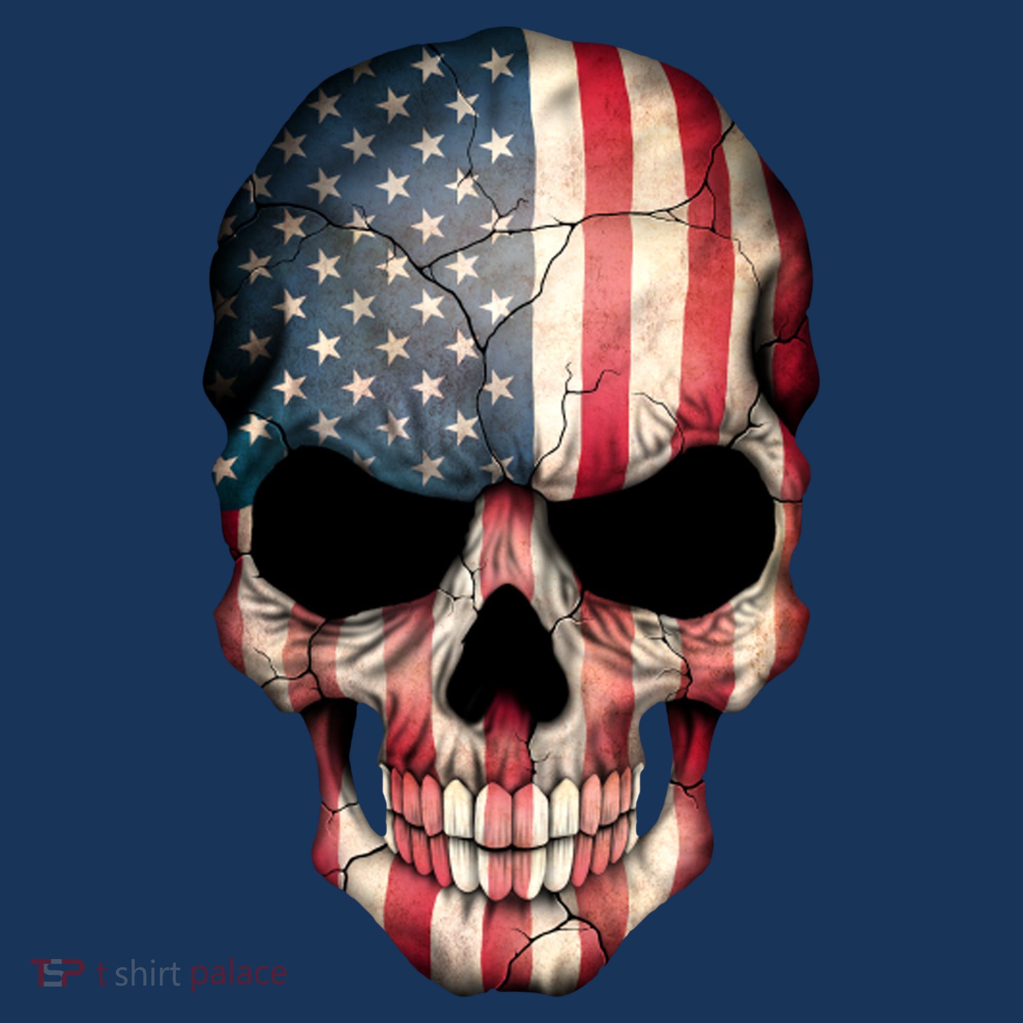 American USA Skull Grunge American Flag T-Shirt