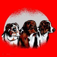 Australian Shepherd Dogs Santa Hat thumb 1
