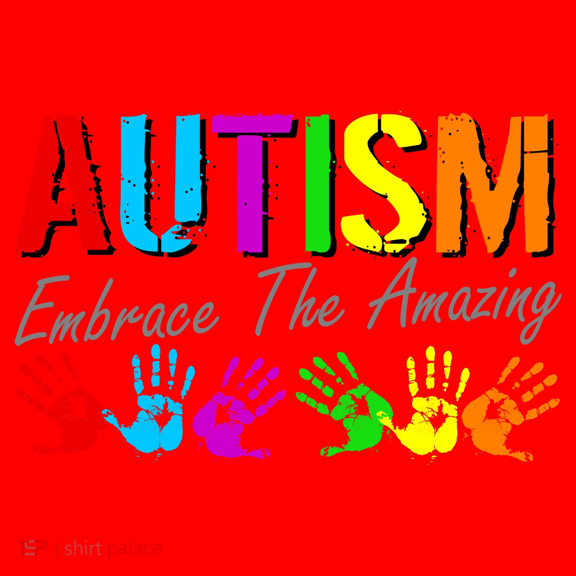 Autism Embrace The Amazing Santa Hat