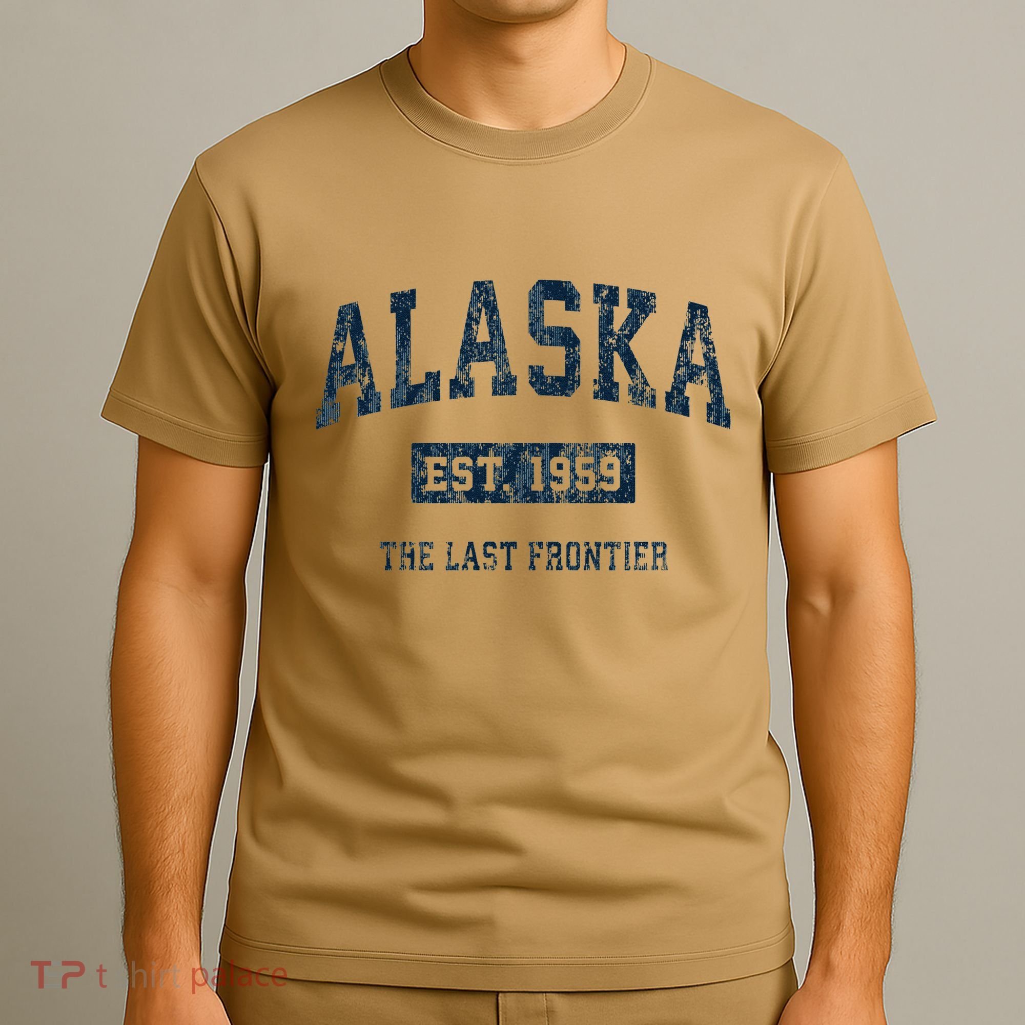 Alaska Vintage Athletic Sports Print T-Shirt