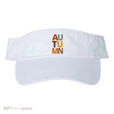 Visor