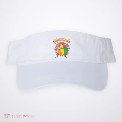 Visor