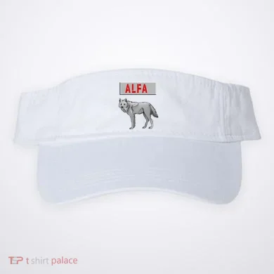 Visor