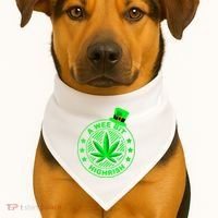 A Wee Bit Highrish Funny 420 Weed Marijuana St Patricks Day Vneck USA-Made Doggie Bandana thumb 1