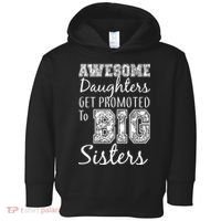 Awesome Daughters Get Promoted To Big Sisters Toddler Hoodie thumb 0