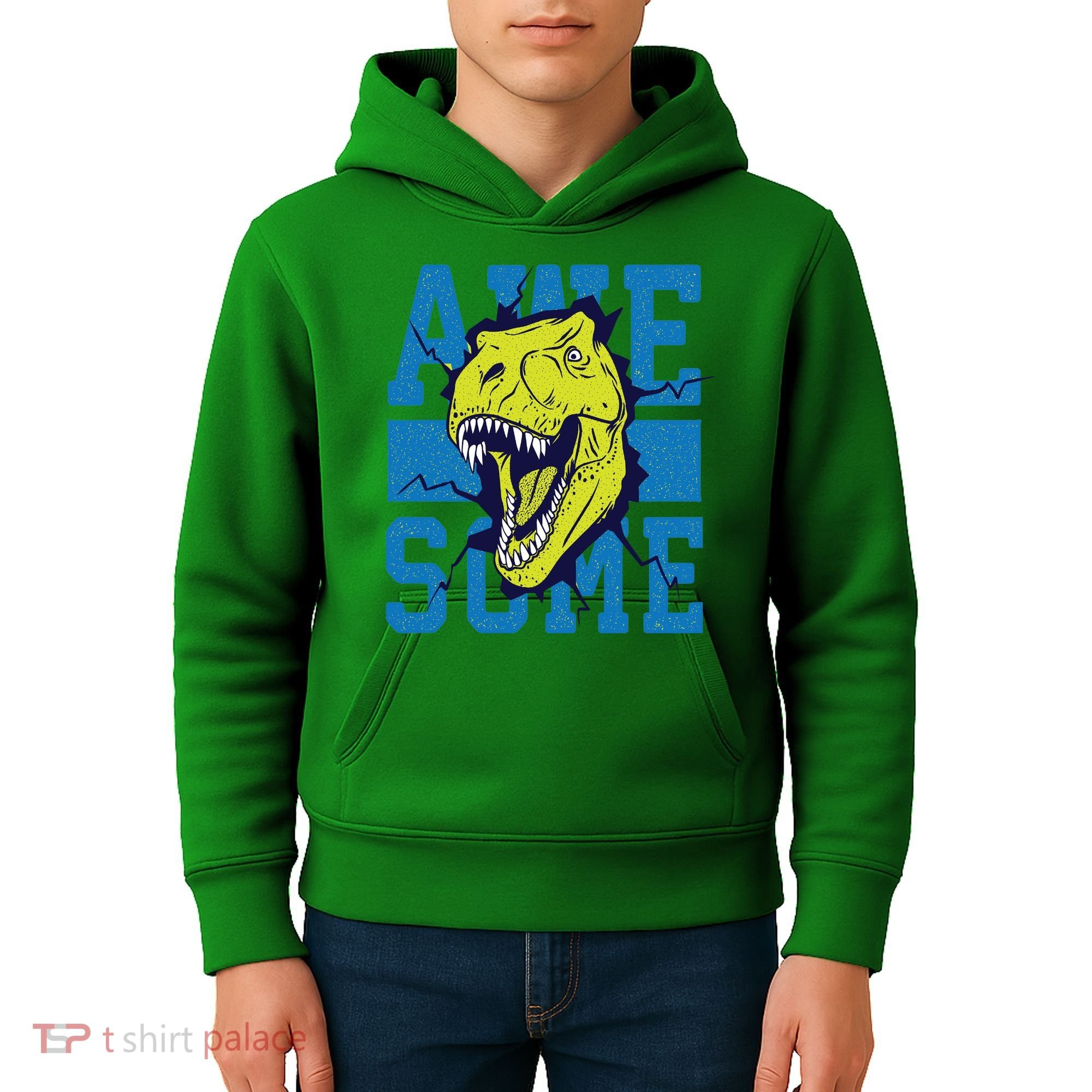 Awesome Dinosaur Cute Kids Hoodie