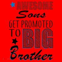 Awesome Son Promoted To Big Brother Santa Hat thumb 1
