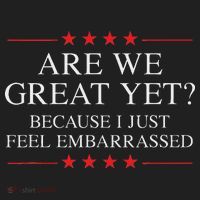 Are We Great Yet Because I Just Feel Embarrassed Resist Hat thumb 2