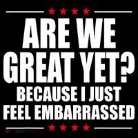 Are We Great Yet Because I Just Feel Embarrassed Toddler Hoodie thumb 2