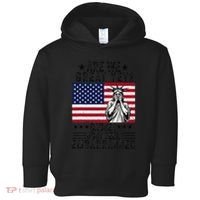 Are We Great Yet Cause I Just Feel Embarrassed Fun Democrat Toddler Hoodie thumb 0