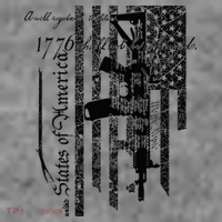 A Well Regulated Militia Gun Rights Patriotic Toddler Hoodie thumb 2