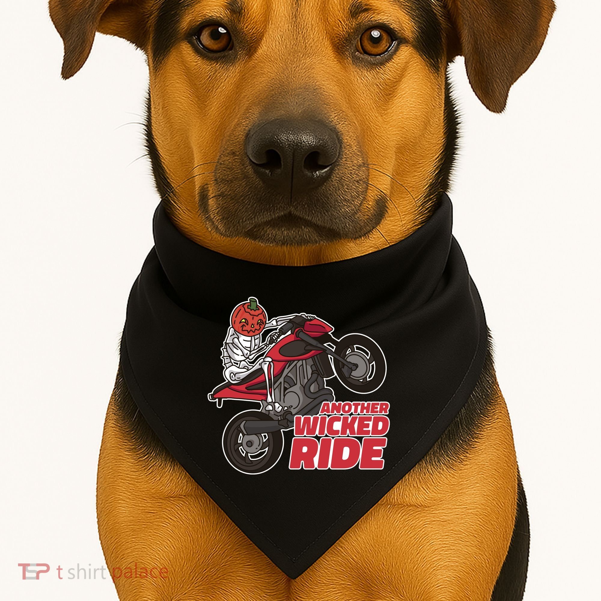 Another Wicked Ride Pumpkin USA-Made Doggie Bandana