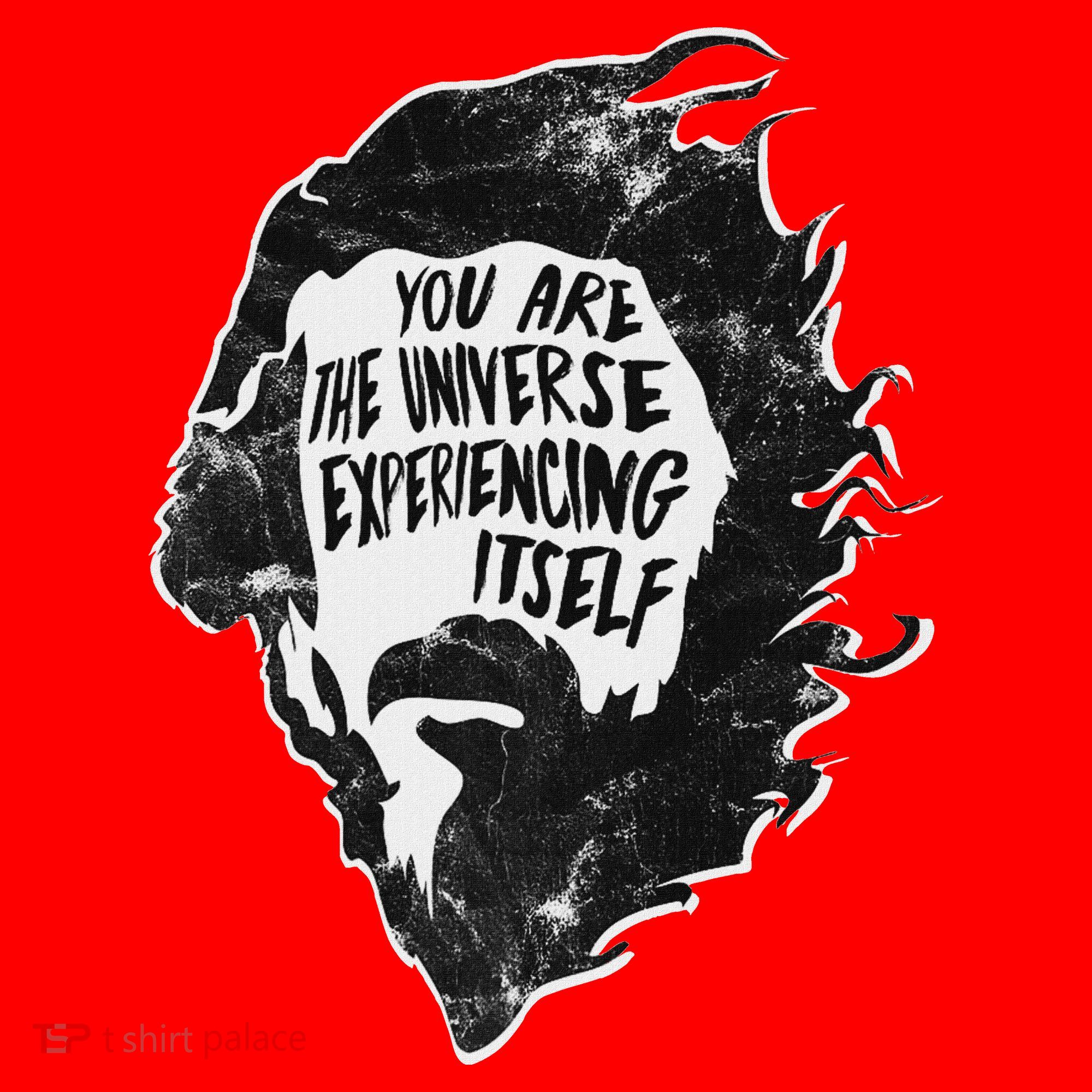 Alan Watts YouRe The Universe Experiencing Itself Santa Hat
