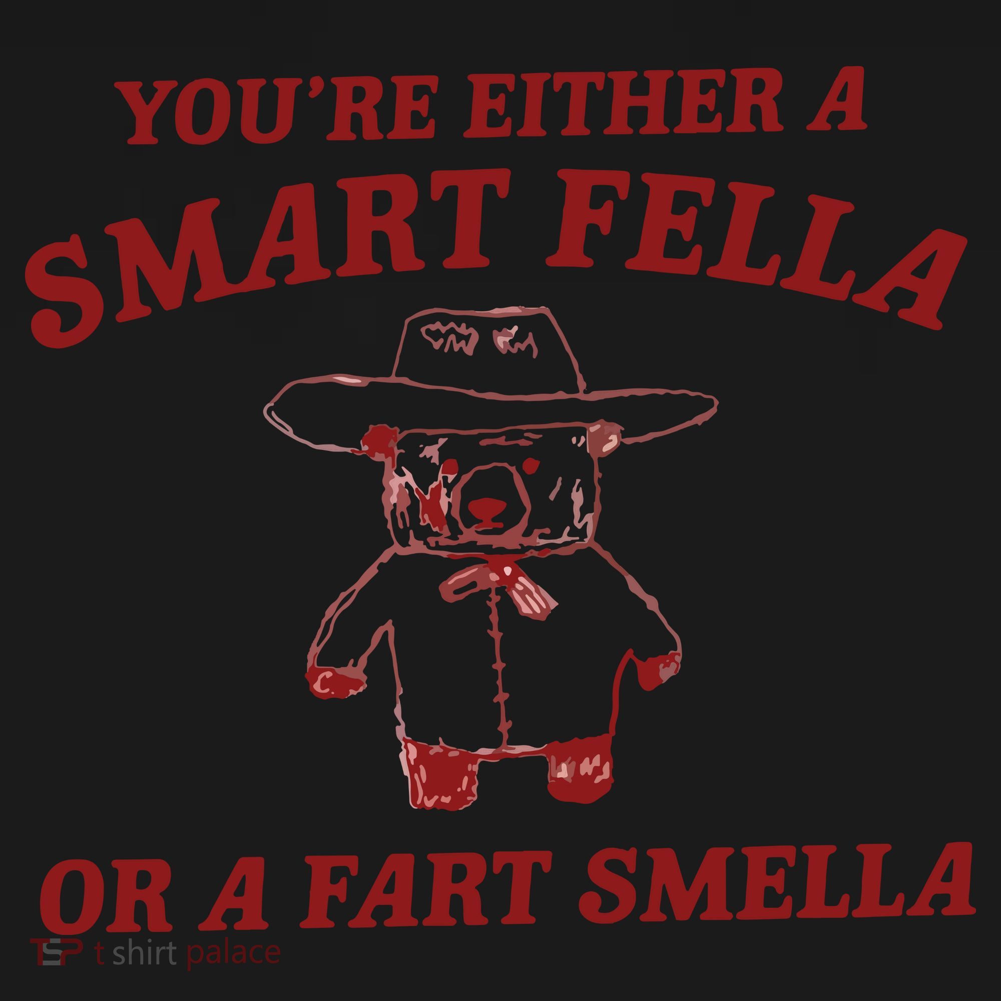Are You A Smart Fella Or Fart Smella Women's Hoodie