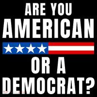 Are You American Or Democrat? Coffee Mug thumb 5